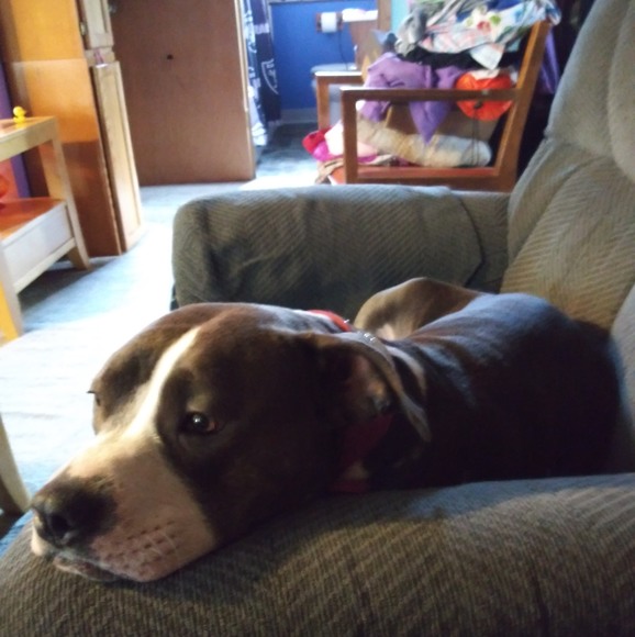 Meet your Posher, Bry - Picture 1 of 1